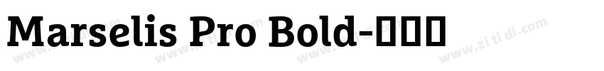Marselis Pro Bold字体转换